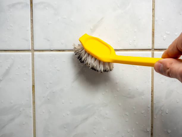 Best Mold Damage Repair  in Lynn, MA