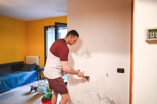 Best Certified Mold Removal  in Lynn, MA